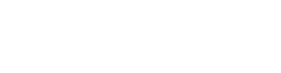 Tech Ford